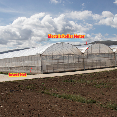 24x40m galvanisiertes Stahl Gewächshaus mit 150 Mikron PE-Film