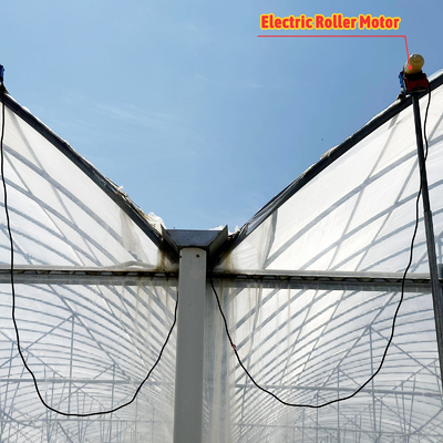 24x40m galvanisiertes Stahl Gewächshaus mit 150 Mikron PE-Film