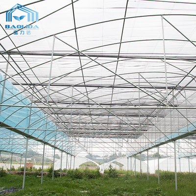 6m-12m Multi-Span PE Film Gewächshaus-Kit mit 10-Jahres-Garantie