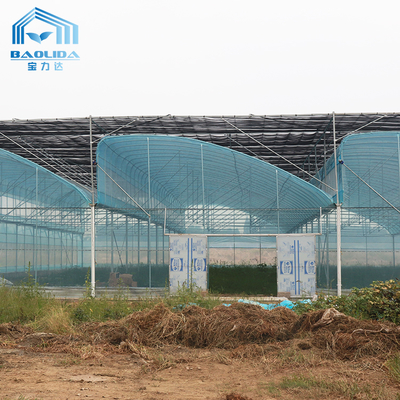 6m-12m Multi-Span PE Film Gewächshaus-Kit mit 10-Jahres-Garantie