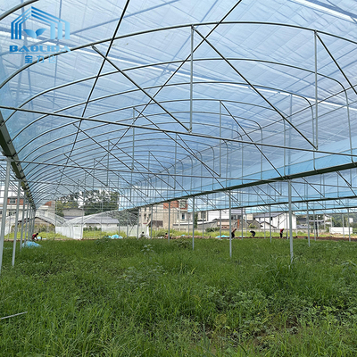 6m-12m Multi-Span PE Film Gewächshaus-Kit mit 10-Jahres-Garantie