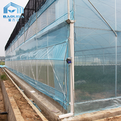 6m-12m Multi-Span PE Film Gewächshaus-Kit mit 10-Jahres-Garantie