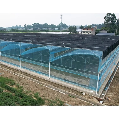 Multi-Span PE Film Gewächshaus-Kit 6m-12m Breite 10 Jahre Garantie