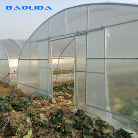 Hohes Tunnel-Gemüse, das einzelne Spannen-Gemüsetunnel-Plastikfilm-Gewächshaus pflanzt