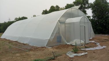 Heißes Bad-wachsen galvanisiertes Stahlplastikfilm-Gewächshaus die besonders angefertigte Zelt-Größe