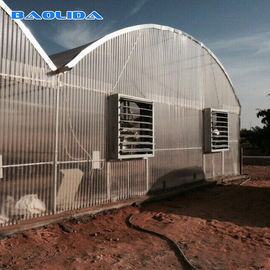 Landwirtschaftliche Hallen-großes Polycarbonats-Blatt-Gewächshaus-Stahl-Rohr-Licht-Material