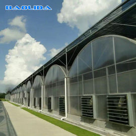 Landwirtschaftliche Hallen-großes Polycarbonats-Blatt-Gewächshaus-Stahl-Rohr-Licht-Material