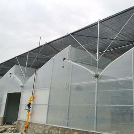 Multi Spannen-Tunnel-Plastiktomaten-Gewächshaus-stabile Struktur fabrizierte multi Spannen-Gewächshaus vor