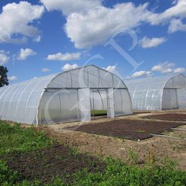 Klassische Standardgewächshaus-Tunnel-Kunststoffplatte, die Gemüsewachstum umfasst