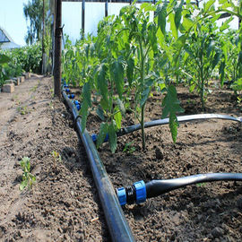 Bauernhof-Gewächshaus-Bewässerungssystem/Sprüher Polytunnel Bewässerungs-System