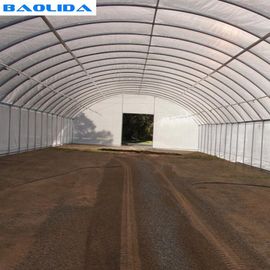 Einzelne Spannen-Plastiktunnel-Gewächshaus/windundurchlässige Polygewächshaus-Landwirtschaft