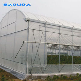 Transparente multi Spannen-Gewächshaus-Landwirtschafts-Seitenfenster-Plastikunterstützung