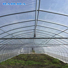 Beispieltunnel-Plastikgewächshaus/Plastikeinzelnes Spannen-Gemüsegewächshaus