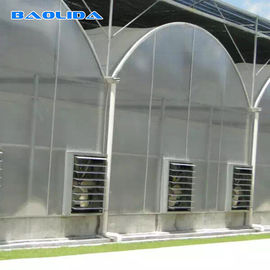 Schöner Polycarbonats-Blatt-Gewächshaus-Plastik mit Hauben-Dach fertigte besonders an
