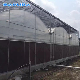 Vorfabriziertes Tomaten-Tunnel-multi Spannen-Gewächshaus-unterschiedliche Gemüse-Unterstützung