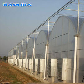 Vorfabriziertes Tomaten-Tunnel-multi Spannen-Gewächshaus-unterschiedliche Gemüse-Unterstützung