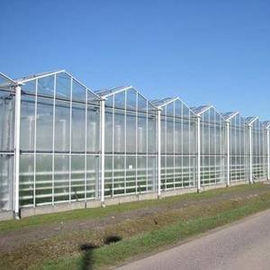 Landwirtschaftliche transparente Venlo-Art Gewächshaus für Frucht-Blumen