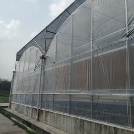 Löschen 200 Mikrometer-Film Coverd-Polycarbonats-Gewächshaus Kit Multi Span Greenhouse
