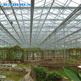 Multi Polycarbonats-Blatt-Gewächshaus des Spannen-Tunnel-8mm für die Gartenarbeit