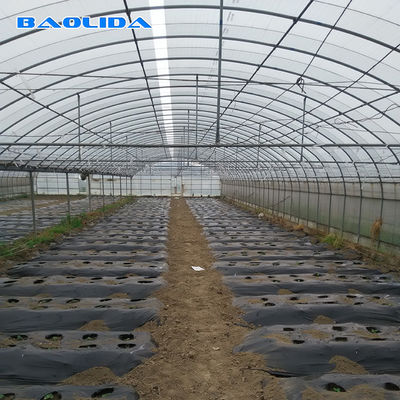Landwirtschaftliche kommerzielle industrielle Plastikfilm-Tomate wachsen multi Spannen-Mikrogewächshaus des System-150