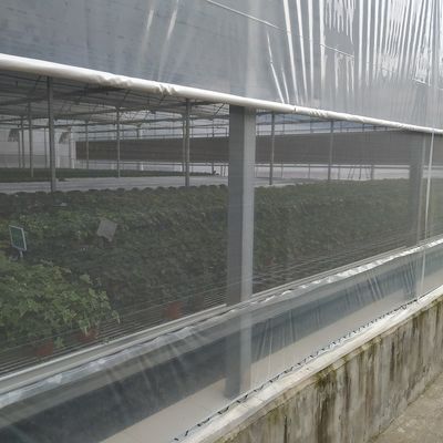 Gemüsepolyäthylen-Kunststoff-Folien-Gewächshaus galvanisierter Stahlrahmen