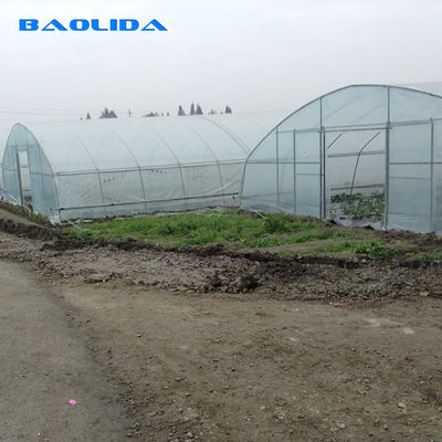 Landwirtschaftlicher 8m Breite PET Film-Einzel-Spannen-Tunnel-Plastikgewächshaus für die Gemüse-Zucht