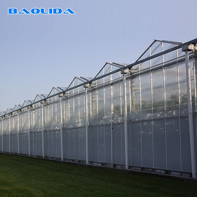 Glasgewächshaus Landwirtschafts-multi Spanne Venlo für das Tomaten-Pflanzen