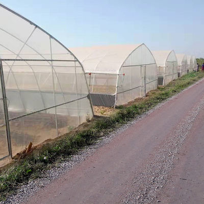 Breite 8m 9m 10m legen Plastikgewächshaus für die Gemüse-Zucht einen Tunnel an