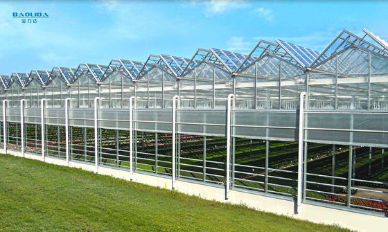 Metallrahmen Polytunnel-Glas Venlo-Art Gewächshaus stabilisierte 60x90m