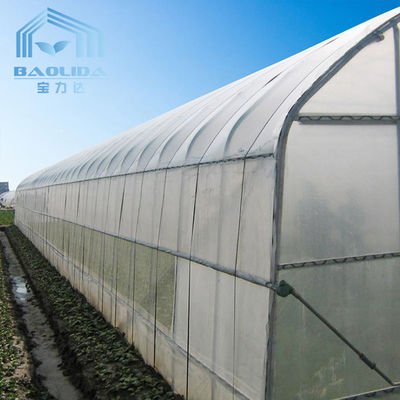 Tunnel-einzelnes Spannen-Gewächshaus für die Gemüse-Zucht-landwirtschaftliche Landwirtschaft