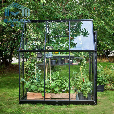 Sonnenblumen-halbes Liter sortiertes Gewächshaus-Zelt gartenbaulich mit Glasblatt