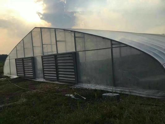 Heißes Bad-galvanisiertes Bereichs-ökologisches landwirtschaftliches Gewächshaus-Plastikfilm-Gewächshaus