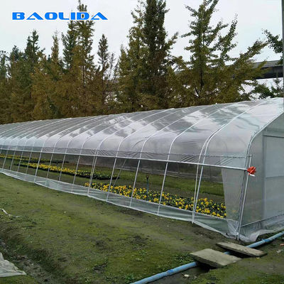 Tunnel-einzelnes Spannen-Gewächshaus für die Gemüse-Zucht-landwirtschaftliche Landwirtschaft