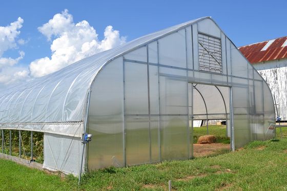Landwirtschaft Gewächshauspflanzung Gemüse Früchte Einfachgewächshäuser