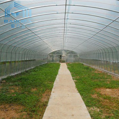 Landwirtschafts-Anlagen, die Polyäthylen-Film-einzelner Spannen-Tunnel-Plastikgewächshaus bewirtschaftend wachsen