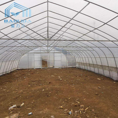 Einzel-Spanne PET bedeckte Tunnel-Plastikgewächshaus für Erdbeertrauben-Himbeere