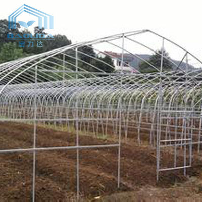 Spanne Polytunnel Sri Lanka Colombo Steel Frame Greenhouse Single