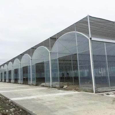 Multi-Spannen-reist landwirtschaftliches Polycarbonats-Blatt-Gewächshaus für tropisches Gewächshaus ab
