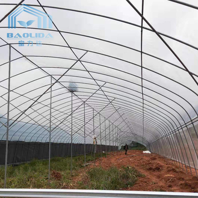 galvanisiertes Stahlrohr Einzel-Spannen-Film-Handelstunnel-Plastikgewächshaus für Landwirtschaftsbetriebsdas wachsen