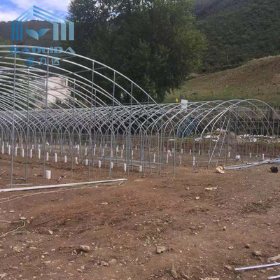 galvanisiertes Stahlrohr Einzel-Spannen-Film-Handelstunnel-Plastikgewächshaus für Landwirtschaftsbetriebsdas wachsen