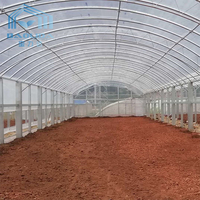 Landwirtschafts-einzelnes Spannen-Plastikgewächshaus mit Polytunnel-Stahl-Rahmen-doppeltem Film