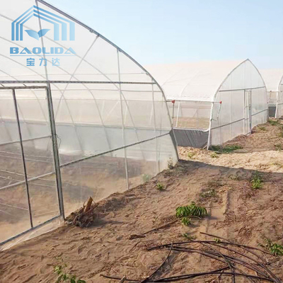 Einzel-Spanne PET bedeckte Tunnel-Plastikgewächshaus für Erdbeertrauben-Himbeere