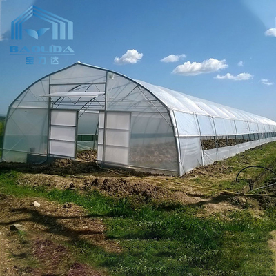 Landwirtschaftliches Plastiktunnel-Gewächshaus-Band-Gewächshaus für das Wachsen Gemüse
