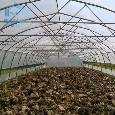 Landwirtschaft des Singlespan-Tunnel-Gewächshauses mit Bewässerung und wachsendem Wasserkultursystem