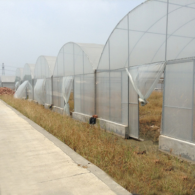 Hoher Tunnel-landwirtschaftliches bewirtschaftendes multi Spannen-Gewächshaus für das Blumen-Wachsen