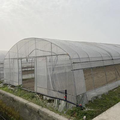 Tunnel Gewächshaus Galvanisiertes Stahlrahmenbau Rohr PE UV Kunststofffolie Vergetabel Einfachgewächshaus