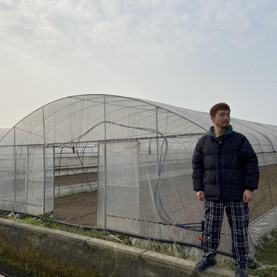 Anlagen, die PET-Film-einzelnes Spannen-Gewächshaus des Landwirtschafts-Standard-Plastikfilm-8m 60m pflanzen