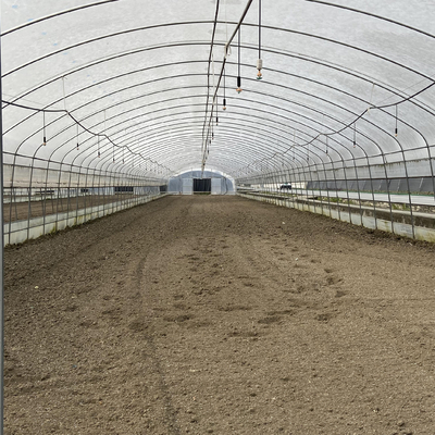 Anlagen, die PET-Film-einzelnes Spannen-Gewächshaus des Landwirtschafts-Standard-Plastikfilm-8m 60m pflanzen