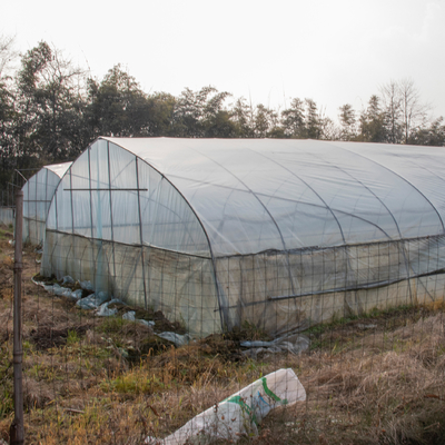 Tropische einzelne Spannen-verschütteter Gewächshaus-Landwirtschafts-Plastiktunnel transparent