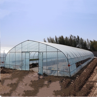Landwirtschaftliches hohes Band-Bogen-Polyäthylen-Film-Gewächshaus für das Pflanzen